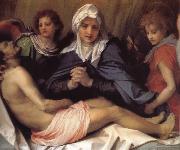 Andrea del Sarto Virgin Mary lament Christ oil painting artist